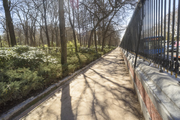 view of the interior of the public park of El Buen Retiro in Madrid, Spain