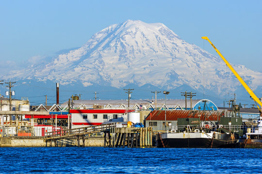 Mount Rainier
