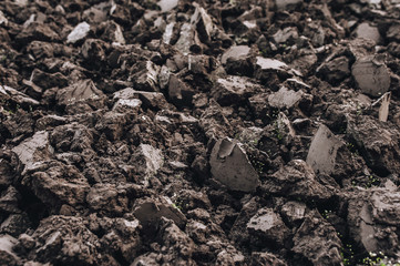 Black soil close up. Agriculture. Chernozem. Cultivation of land.