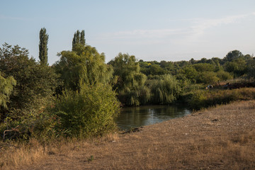 старый пруд