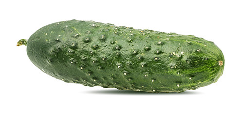 Fresh cucumber isolated on white background with clipping path