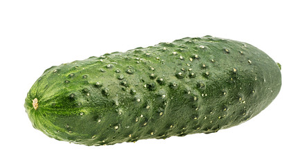 Fresh cucumber isolated on white background with clipping path