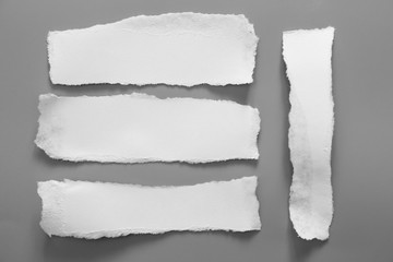 white torn paper on gray background. collection paper rip