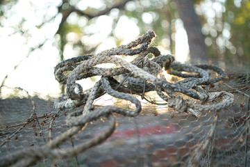 Old rope on the top of the fish trap
