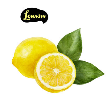 Lemon Watercolor Illustration