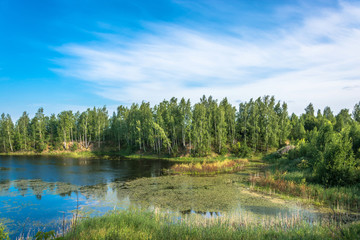 Landscape with a small lake on a summer day.