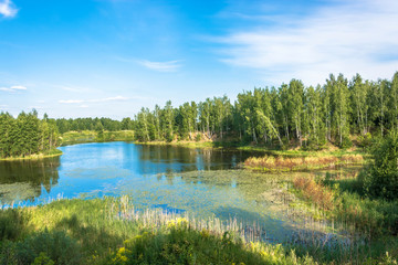 Fototapeta na wymiar Landscape with a small lake on a summer day.