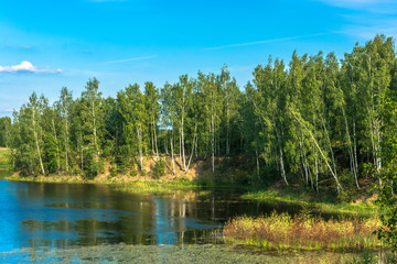 Obraz premium Landscape with a small lake on a summer day.