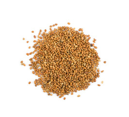 Alfalfa Seeds, Medicago or Lucerne Isolated on White Background