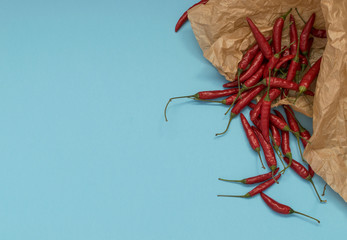 Very Hot Chili Peppers on Blue Paper Background Top View