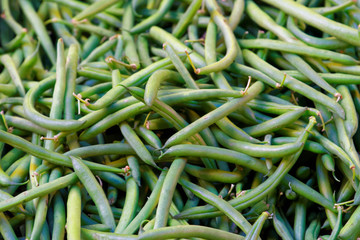 Haricot vert