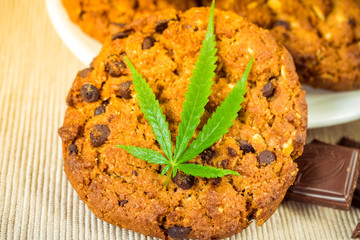 Delicious homemade Chocolate chip Cookies with CBD cannabis and leaf garnish and buds. Medicinal Edibles. Treatment of medical marijuana for use in food. Canada legalization. Narcotic sweets.