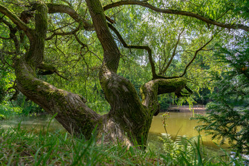 wundersch&ouml;ne Natur im Wettinhain in Burgst&auml;dt