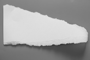 white torn paper on gray background. collection paper rip