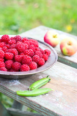 fresh harvested raspberries in a metal bowl on a wooden table. Around lie fresh apples