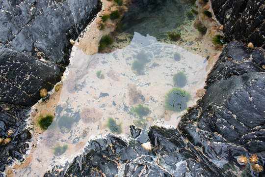 224개의 최고 Mikroklima 이미지, 스톡 사진 및 벡터 | Adobe Stock