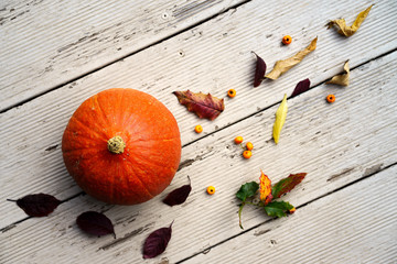 Autumn still life with pumpkin fall leaves and yellow berries on orange and yellow colors. Happy Thanksgiving and holloween design.