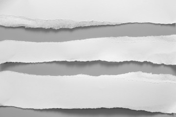 white torn paper on gray background. collection paper rip