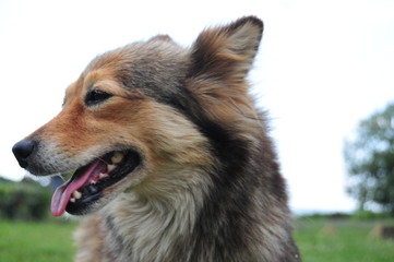 Bonțida Bánffy Castle Romania