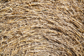 texture of hay rolled into a roll