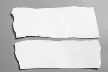 white torn paper on gray background. collection paper rip