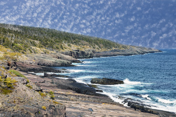 Newfoundland shore