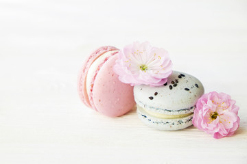Two pieces of blue & pink french macaron sweets with blueberry and strawberry flavor, tender spring flower bloomings from fruit tree. Isolated white background, copy space, close up, top view.