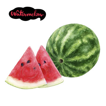 watermelon watercolor illustration