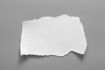 white torn paper on gray background. collection paper rip