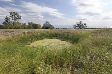 Teich am Ufer der Oder im Natura 2000 Gebiet 