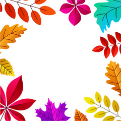 White autumn background with beautiful color leaves.