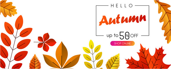Hello autumn 50% sale. Promotion banner with color leaves.
