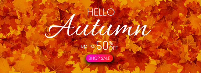 Hello autumn 50% sale. Promo banner with golden leaves.