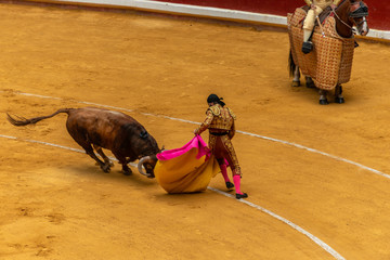 Stierkampf in Spanien 
