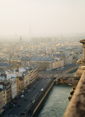Fototapeta premium Paris Sunset View Eiffel Tower skyline