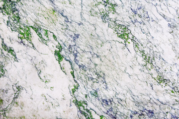 Marble slab with green and blue bright veins.jpg