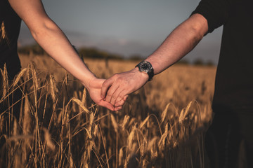 couple holding hands in a wheat field