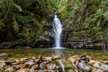 Obraz premium Cascade pont en bois Vallée de Cocora en Colombie palmiers géants Salento