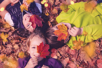 chrildren in autumn leaf sunny 