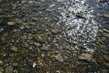 Image of the bottom of a mountain river.