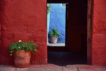 Fototapeta na wymiar Patio in Red and Blue wall