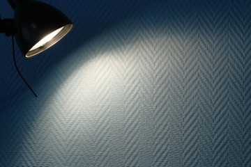 An image of painted fiberglass wallpaper.