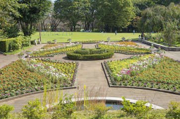 智光山公園にある狭山市都市緑化植物園（埼玉県狭山市）