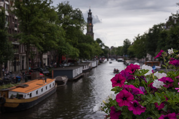 Fototapeta na wymiar Flowers on a bridge over a canal with boats moored on the shore in Amsterdam, The Netherlands