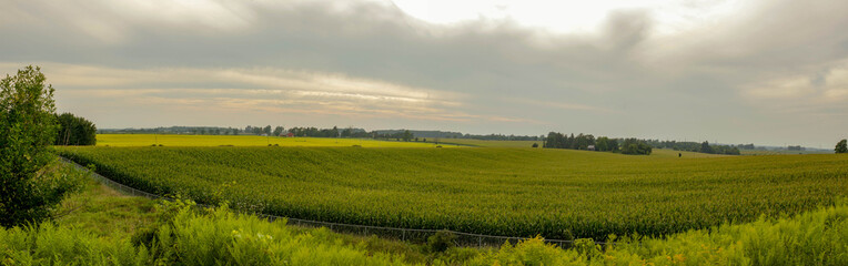 Panoramic view of rural scene of countryside at day, Ontario, Canada.