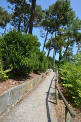 Lège-Cap-Ferret - La Pointe aux Chevaux