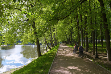 Mikhalkovo Park, Upper Mikhalkov pond, Moscow, Russia