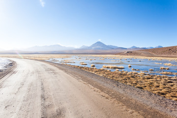 Dirt road perspective view,Chile