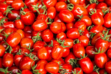 Tomaten