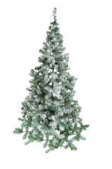 Fototapeta premium Beautiful Christmas tree on white background. Celebration time